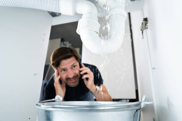  Green Forest, AR Plumbing Pros
