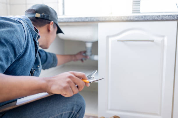 Best Clogged Drain Plumber  in Green Forest, AR