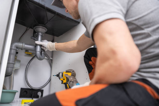 Best Local Plumber Services  in Green Forest, AR
